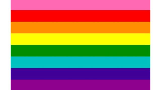 Farklı LGBTİ+ bayrakları neyi temsil ediyor, ne anlama geliyor? 1