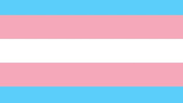 Farklı LGBTİ+ bayrakları neyi temsil ediyor, ne anlama geliyor? 6