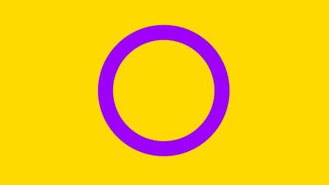 Farklı LGBTİ+ bayrakları neyi temsil ediyor, ne anlama geliyor? 12