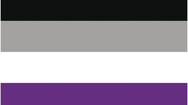 Farklı LGBTİ+ bayrakları neyi temsil ediyor, ne anlama geliyor? 13