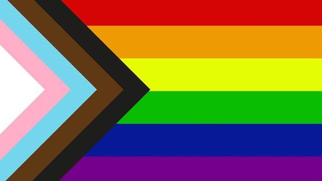 Farklı LGBTİ+ bayrakları neyi temsil ediyor, ne anlama geliyor? 14