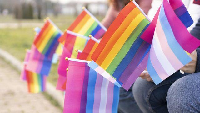 Farklı LGBTİ+ bayrakları neyi temsil ediyor, ne anlama geliyor? 15