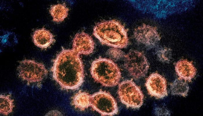 COVID-19 Virüsünün Çıkış Noktasına Dair Tartışmalar Sürüyor