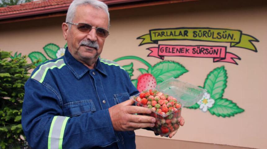 Kilosunu 60 liraya satıyor, siparişlere yetişmekte zorlanıyor! 