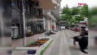 Korku filmi gibi! Kargaların saldırısına uğrayan genç neye uğradığını şaşırdı