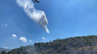 İzmir'de makilik alanda çıkan yangın söndürüldü