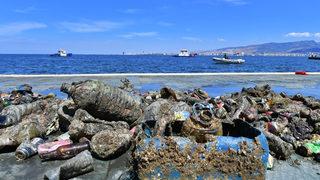 Denizde dip temizliği yapıldı: Çıkan yabancı maddeler hayrete düşürdü