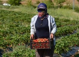 60 ülke sıraya girdi! Müşterisi hazır, paraya para demiyorlar