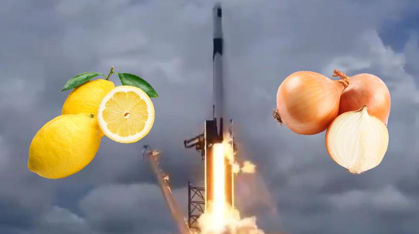 NASA uzaya taze meyve, deniz canlısı ve pamuk fidesi g&ouml;t&uuml;rd&uuml;