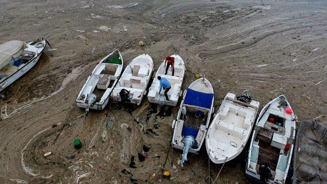 Marmara Denizi'nde yaşanan müsilaj sorunu, çevresel kaygıları derinleştirdi.