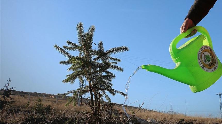 Dünya Çevre Günü nedir? Dünya Çevre Gününe özel mesajlar ve sözler! 