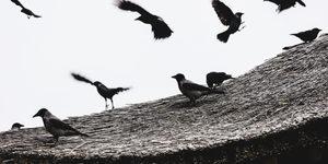 İstanbul'da yeni vir&uuml;s endişesi: Temasta bulunmayın