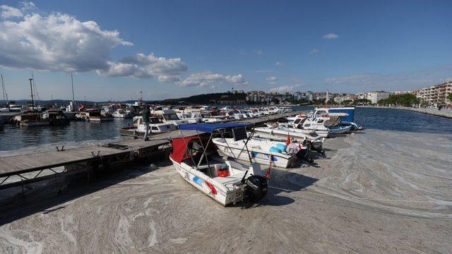 Müsilaj, Kasım ayından bu yana Marmara Denizi'nde görülüyor.