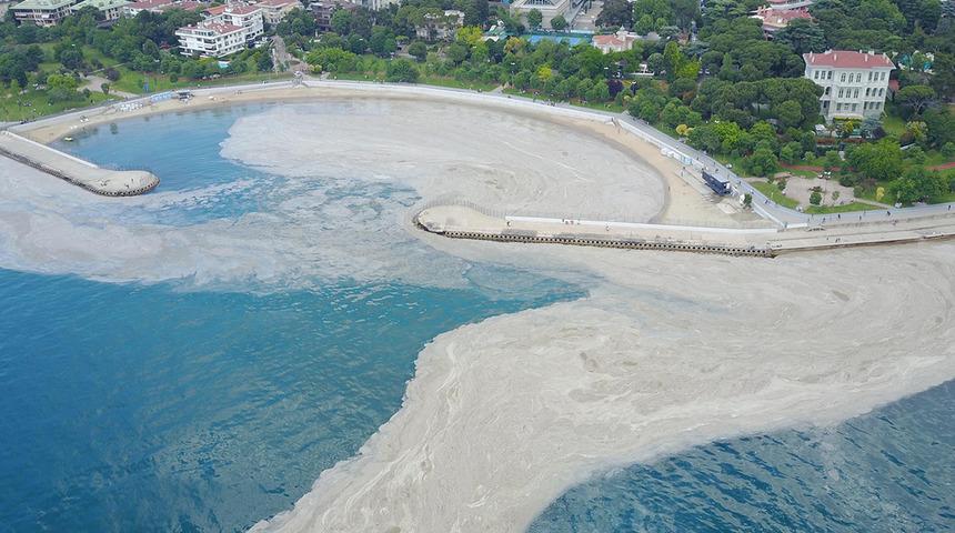 Marmara'da (deniz salyası) müsilaj sorunu! Bakan Kurum, bugün acil eylem planını açıklayacak