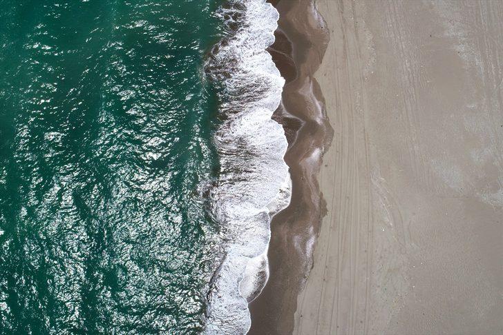 Yeşil deniz kaplumbağaları, Adana Akyatan Sahili'ne yumurta bırakmaya başladı G1