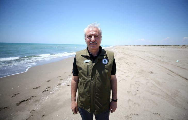 Yeşil deniz kaplumbağaları, Adana Akyatan Sahili'ne yumurta bırakmaya başladı G3