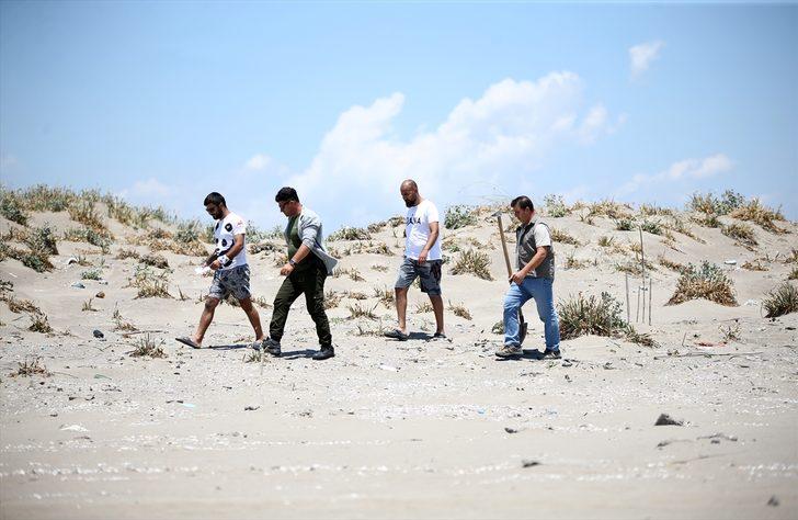 Yeşil deniz kaplumbağaları, Adana Akyatan Sahili'ne yumurta bırakmaya başladı G4