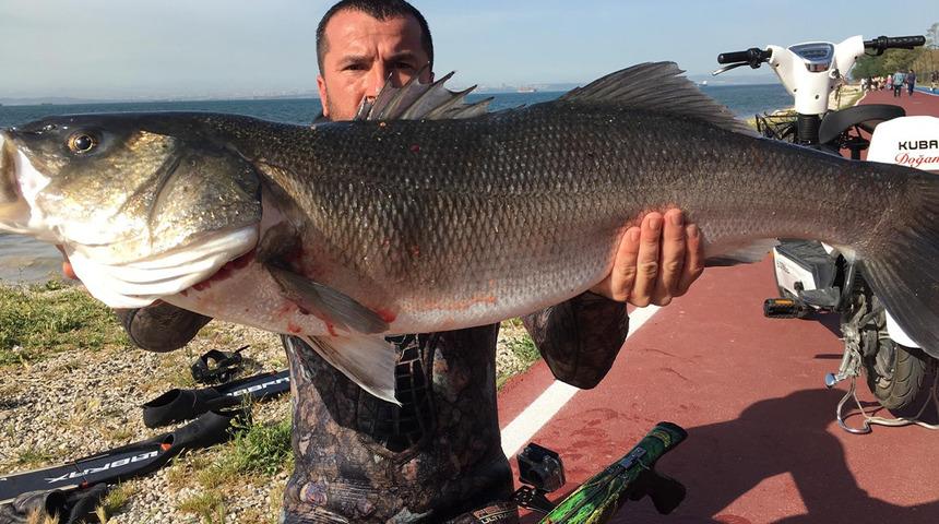 Türk dalış sporcusu dünya rekoru kırdı! 