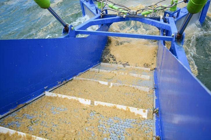 Marmara Denizi'ndeki müsilajın ekonomiye kazandırılması için saha çalışması başladı G1