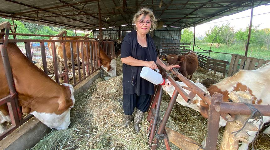 Tatil için geldiği kentte hayatının aşkını buldu, şehir hayatını bıraktı!