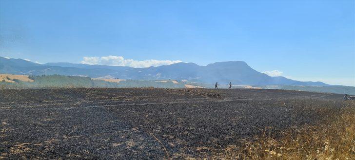 Osmaniye'de tarlada çıkan yangın buğday ekili alana zarar verdi G1
