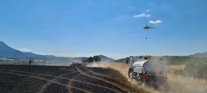 Osmaniye'de tarlada çıkan yangın buğday ekili alana zarar verdi G2