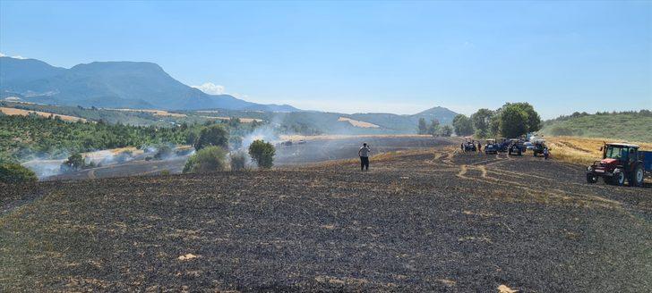 Osmaniye'de tarlada çıkan yangın buğday ekili alana zarar verdi G3