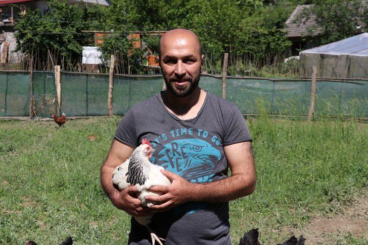 Tavuklarının ekili alanlara zarar vermemesi için 70 metre uzunluğunda "tünel" yaptı G3