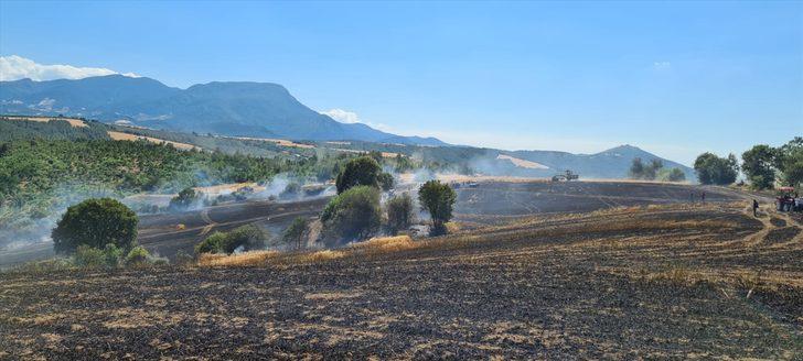 Osmaniye'de tarlada çıkan yangın buğday ekili alana zarar verdi G4