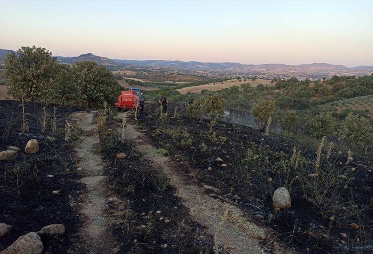Manisa'da arpa ekili tarla yangında zarar gördü G1