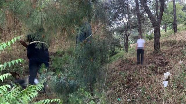 Gören polisi aradı! Ağaca asılı halde ölü bulundu