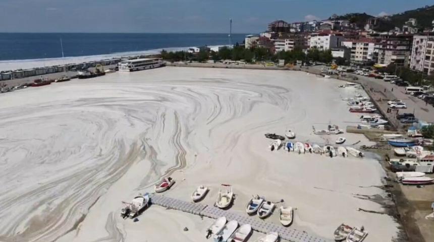 Deniz salyası zararını sigorta şirketleri karşılar mı? Deniz araçları sahiplerine kötü haber!