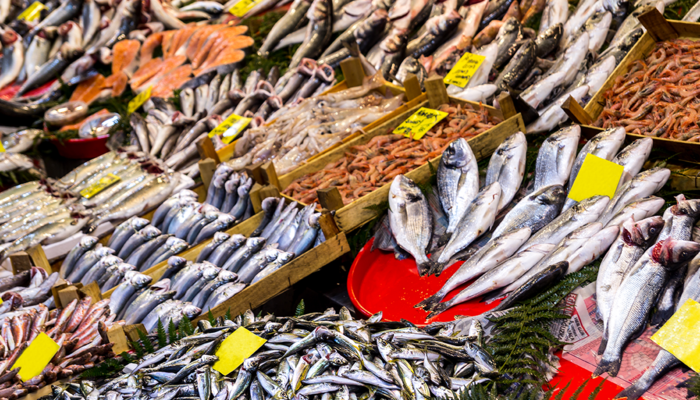 Hangi balık türleri daha riskli? Bu balık türleri sağlığınızı olumsuz