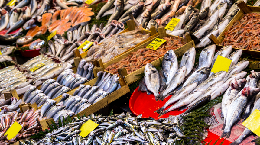 Hangi balık türleri daha riskli? Bu balık türleri sağlığınızı olumsuz yönde etkileyebilir