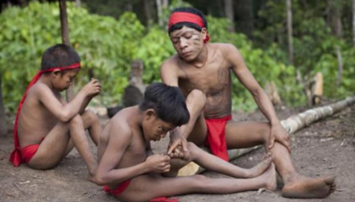 Medeniyetten tamamen uzak yaşayan Yanomami kabilesinin ilginç cenaze alışkanlığı!