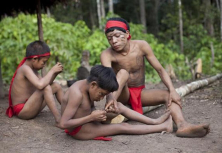 Medeniyetten tamamen uzak yaşayan Yanomami kabilesinin ilginç cenaze alışkanlığı!