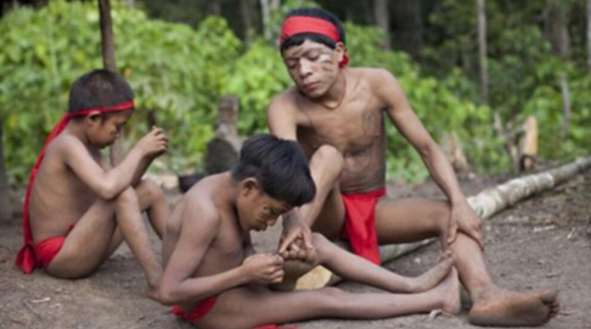 Medeniyetten tamamen uzak yaşayan Yanomami kabilesinin ilginç cenaze alışkanlığı!