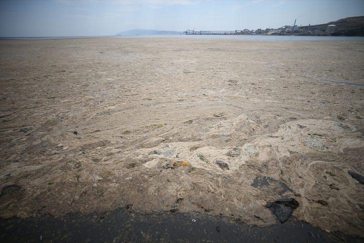 Balıkesir kıyılarında müsilaj görülmeye devam ediyor G1