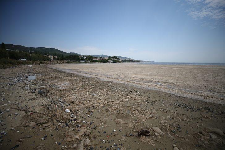 Balıkesir kıyılarında müsilaj görülmeye devam ediyor G5