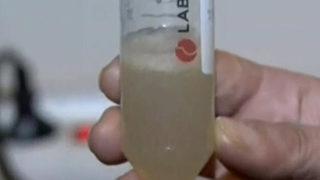 Müsilaj (deniz salyası) neden oluyor? İlk testlerin sonuçları çıktı