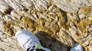 Marmara Denizi'nde deniz salyası kabusu! Betonla kaplı gibiydi