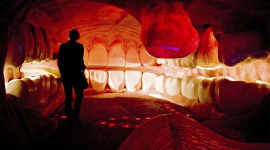 İnsan vücudunun içinde hissettiren sıra dışı bir müze: Corpus Müzesi