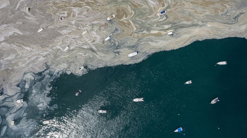 Marmara'da müsilaj (deniz salyası) kabusu: Pandemi de tetikledi