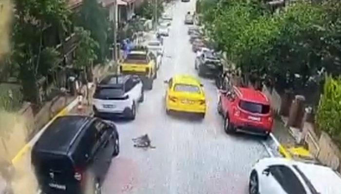 İstanbul’da korkunç olay! Köpeği ezip kaçan taksici saniye saniye kamerada