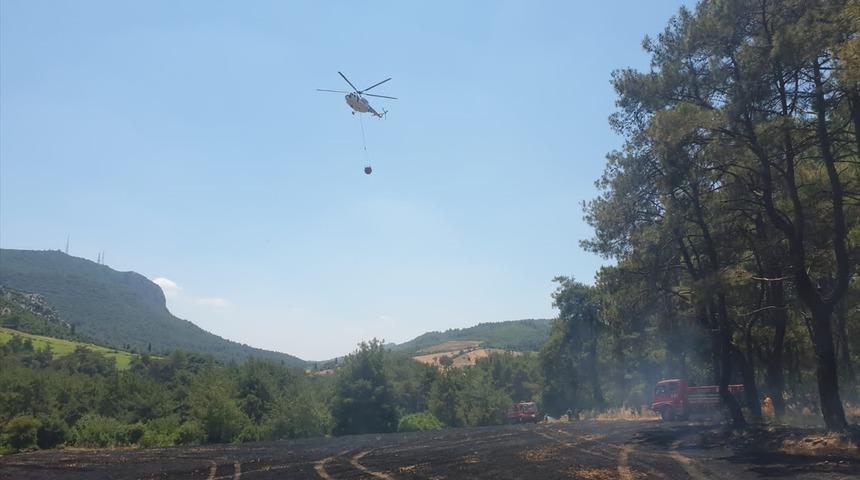 Osmaniye'de ormanlık alana sıçrayan anız yangını kontrol altına alındı
