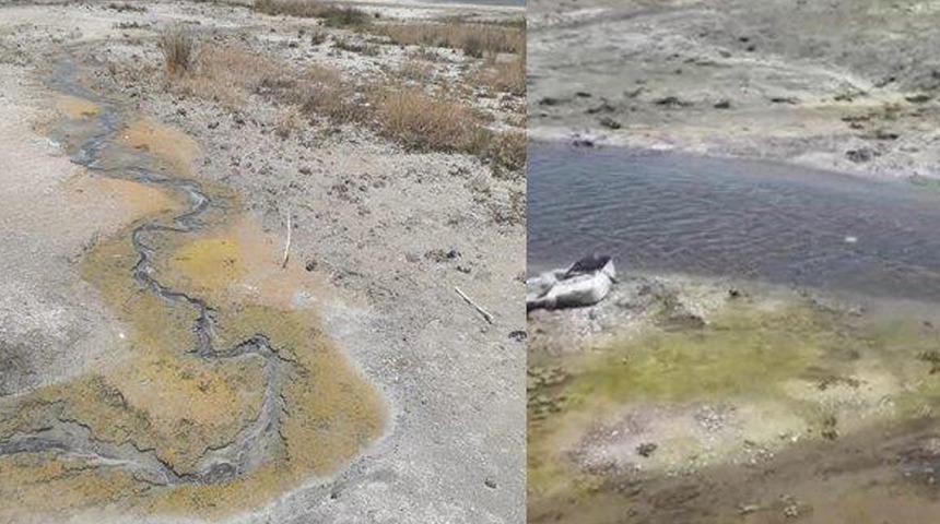 "Salda Gölü'ne kanalizasyon akıyor" iddiası! Çevre ve Şehircilik Müdürü Murat Alacatlı'dan açıklama