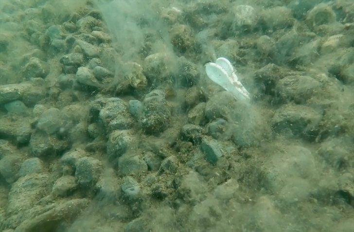 Kocaeli'de müsilaj temizliği seferberliğine dalış sporcuları da katıldı G3