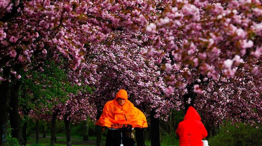 Dünya Meteoroloji Örgütü: Bu yıl Avrupa, 2013'ten bu yana en soğuk baharı yaşadı