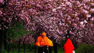 Dünya Meteoroloji Örgütü: Bu yıl Avrupa, 2013'ten bu yana en soğuk baharı yaşadı