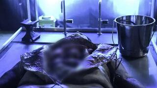 Tüyler ürperten gösteri! Otopsinin nasıl yapıldığı gösterilecek